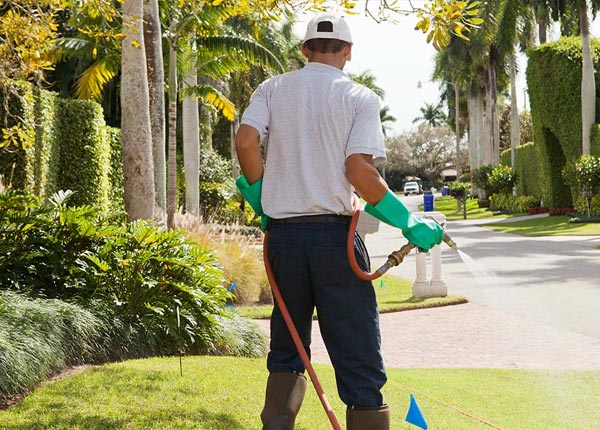 About Harrellsville NC Pest Control
